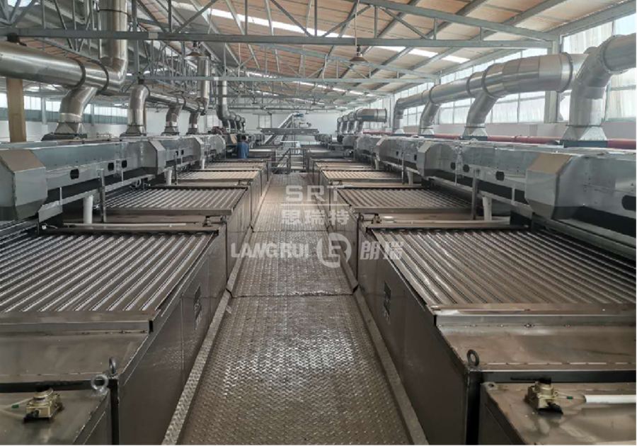 Foshan Liushe Food Co., Ltd Xia Wei Yi Guo/Ba Dan Mu Production Line